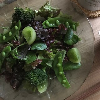 グリーンサラダ